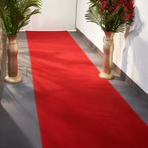 Hollywood Red Carpet Runner for Party